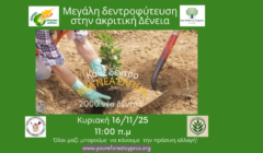 Φυτεύουμε ξανά την ελπίδα:2000 νέα δέντρα! Στην ακριτική κοινότητα Δένειας!