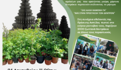 Nτύνουμε για 25η Χρονιά τη λεωφόρο Μακαρίου στα πράσινα!